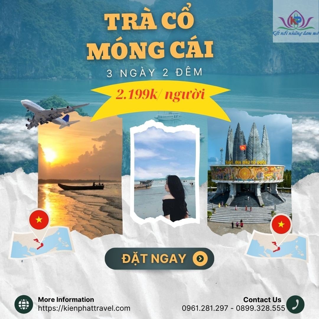 Mong Cai Ancient Tea Tour